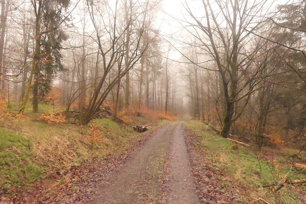 Lahnwanderweg