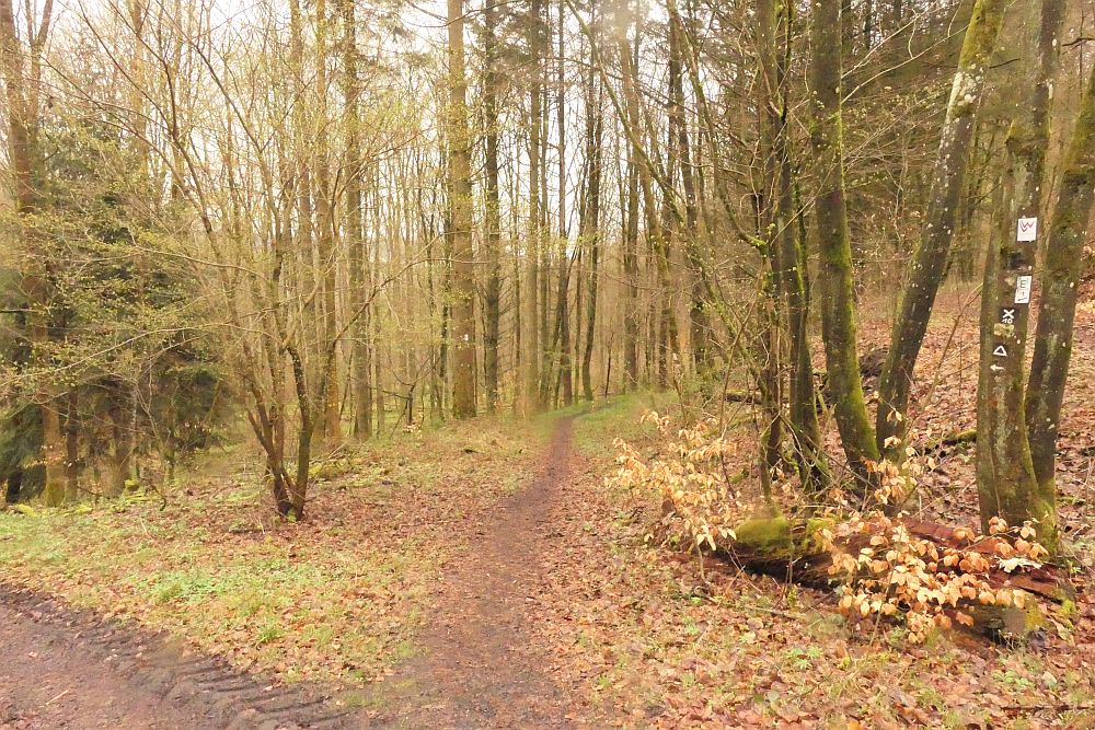 Lahnwanderweg