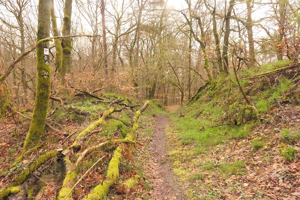 Lahnwanderweg