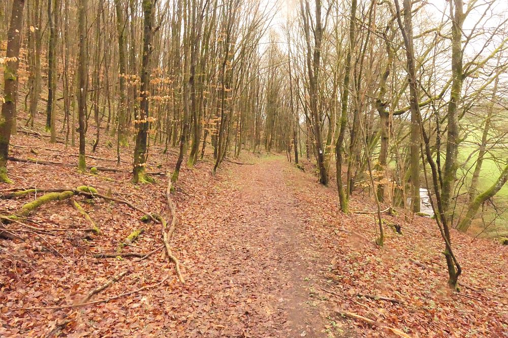 Lahnwanderweg