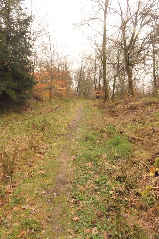 Lahnwanderweg