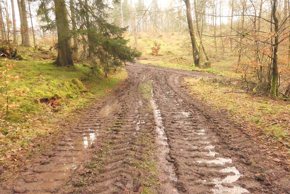 Lahnwanderweg