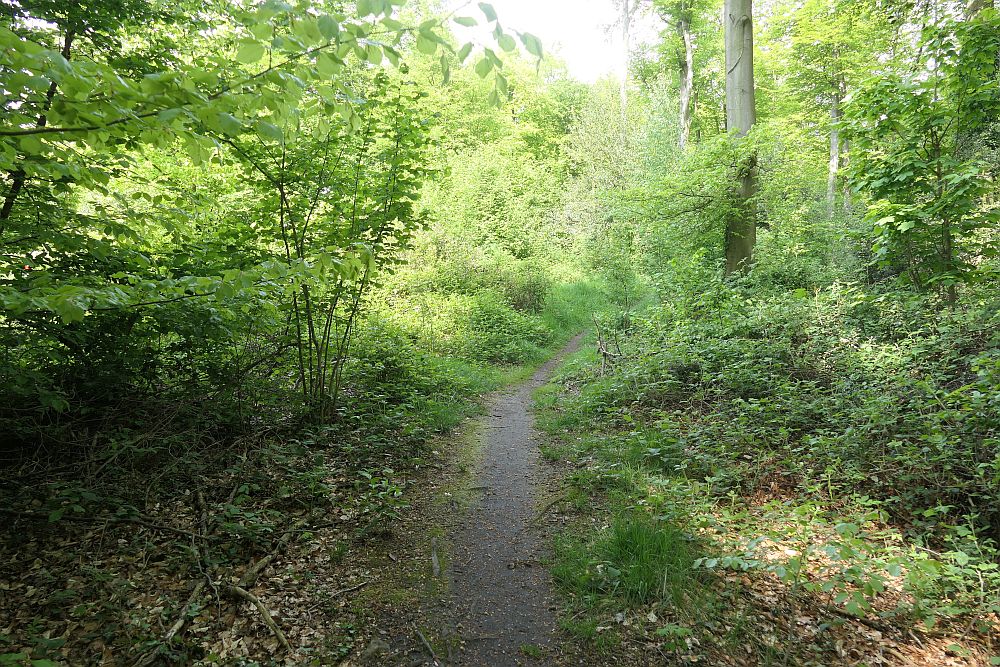 burgenpattweg