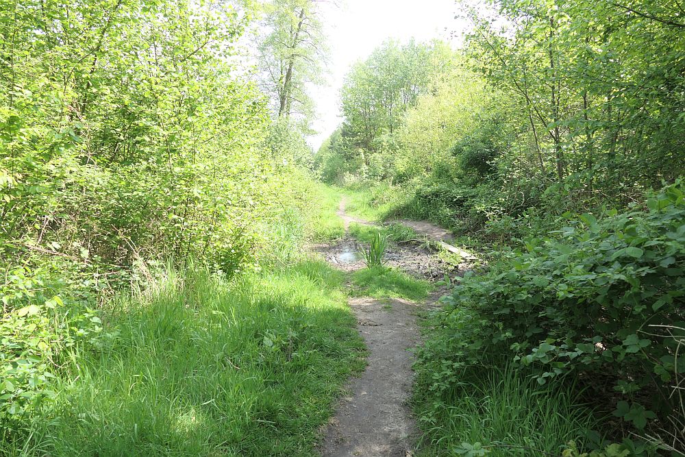 burgenpattweg