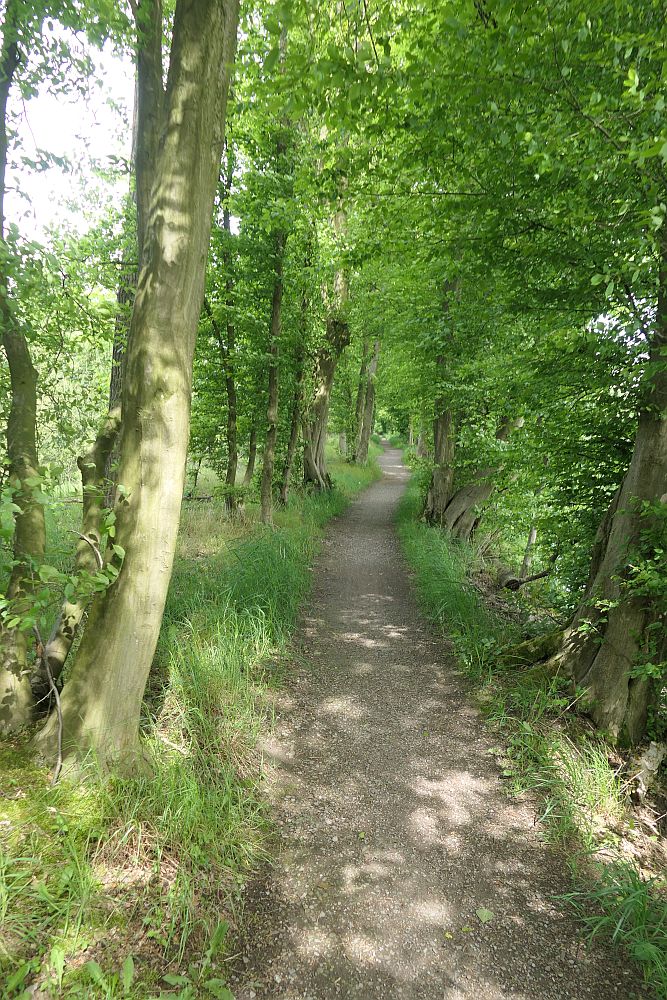 burgenpattweg