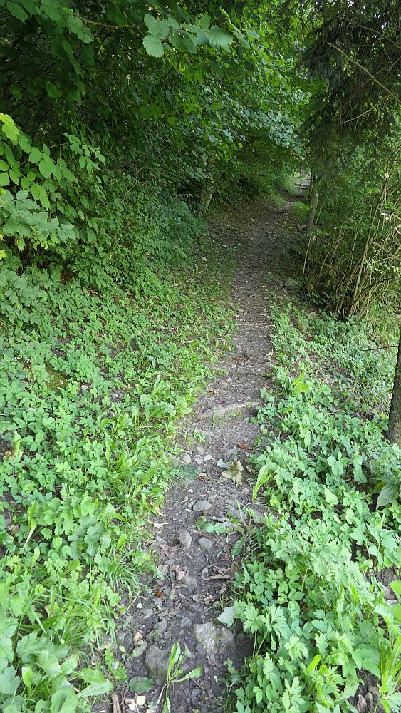 Liechtensteinweg