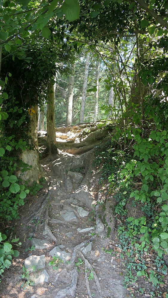 Liechtensteinweg