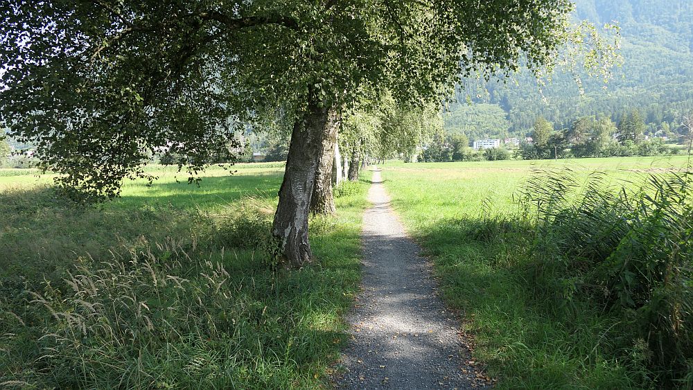 Liechtensteinweg