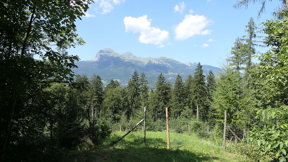 Liechtensteinweg