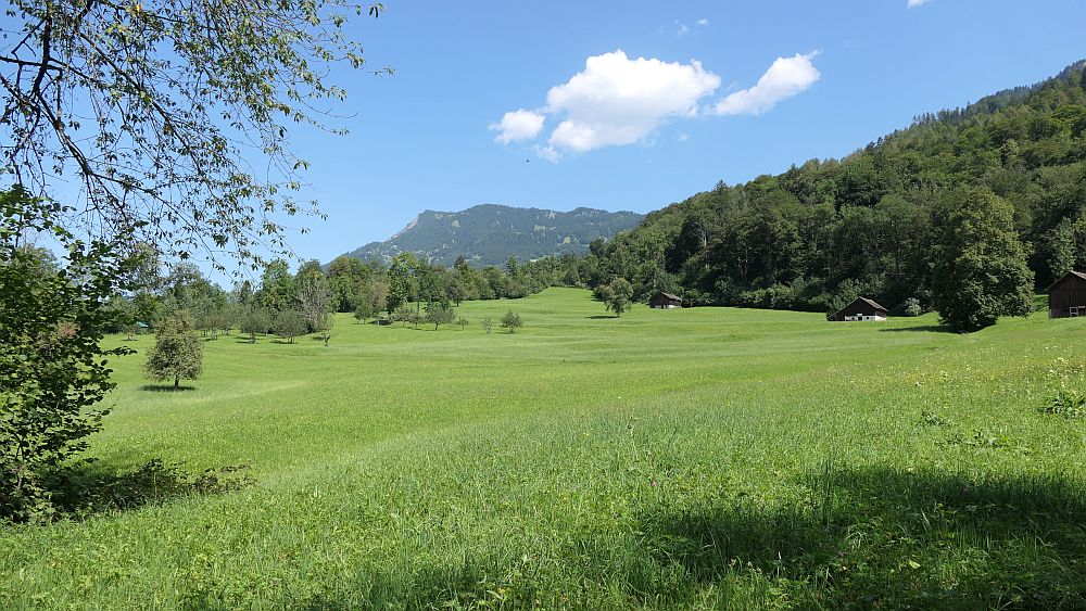 Liechtensteinweg