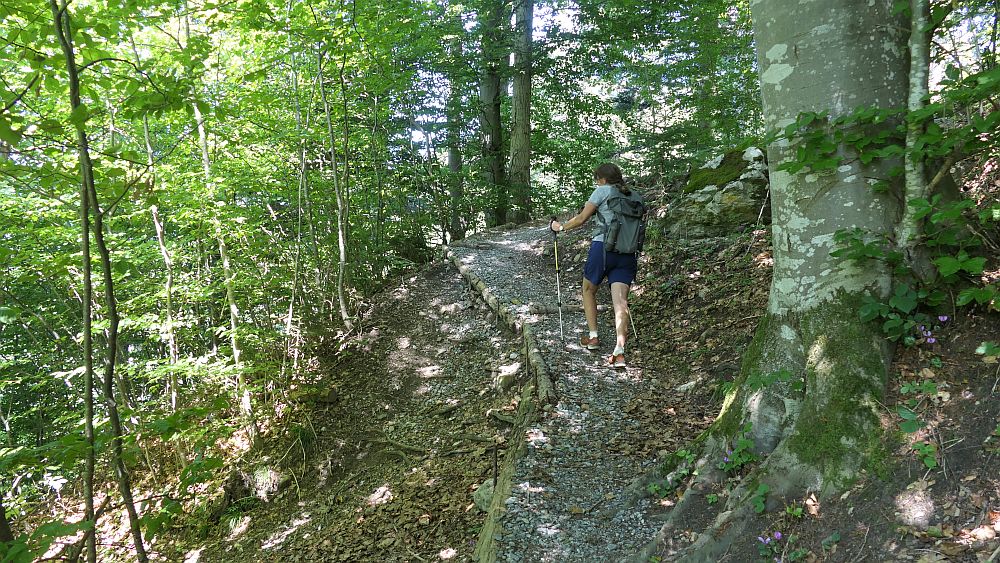 Liechtensteinweg