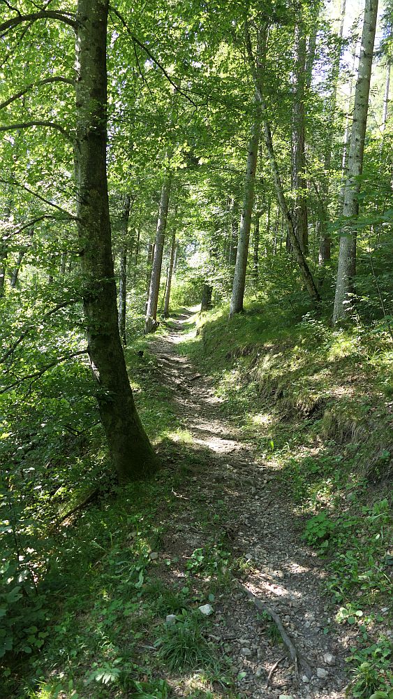 Liechtensteinweg