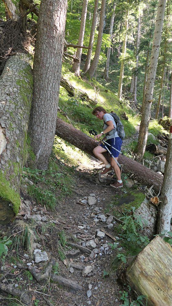 Liechtensteinweg