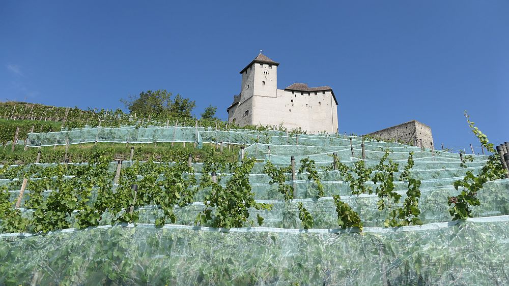 Liechtensteinweg