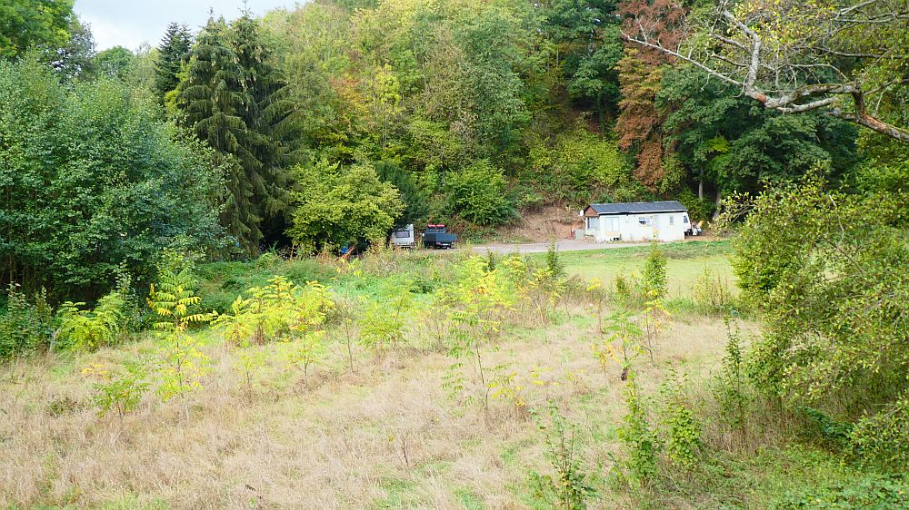 Lieserpfad