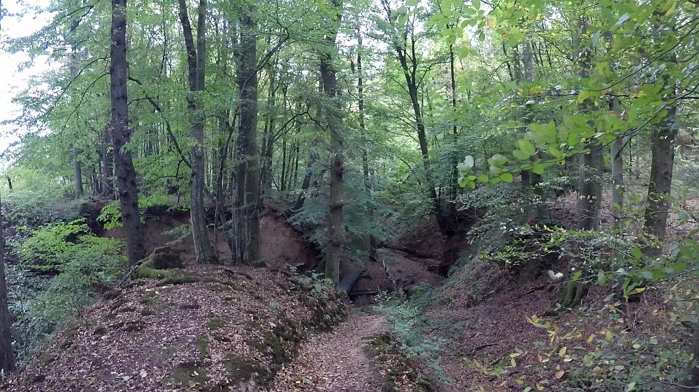 Lieserpfad