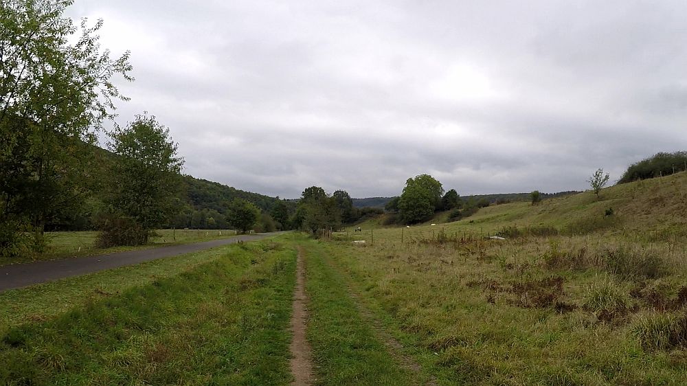 Lieserpfad