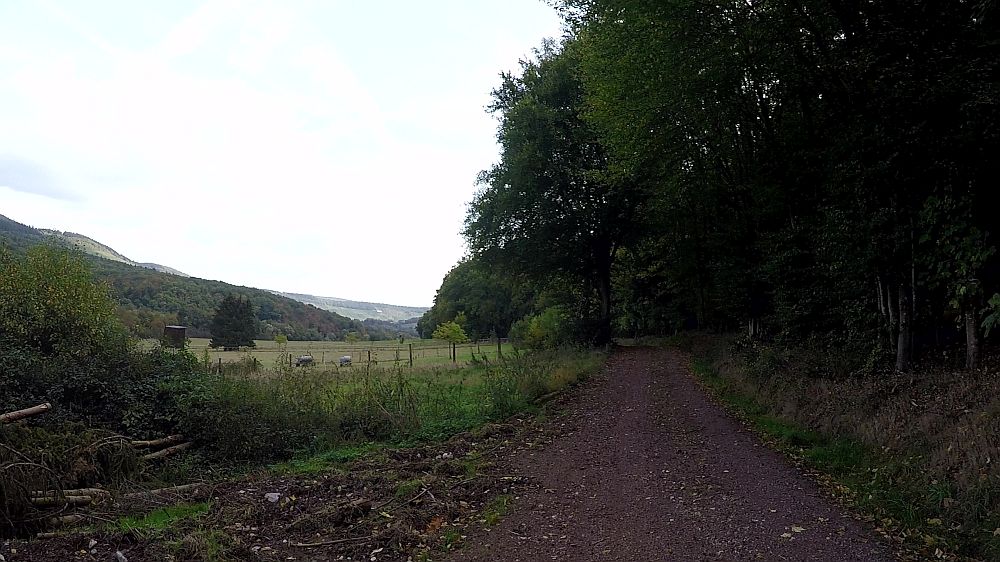 Lieserpfad
