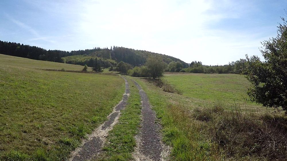 Lieserpfad
