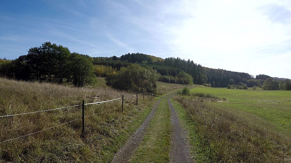 Lieserpfad