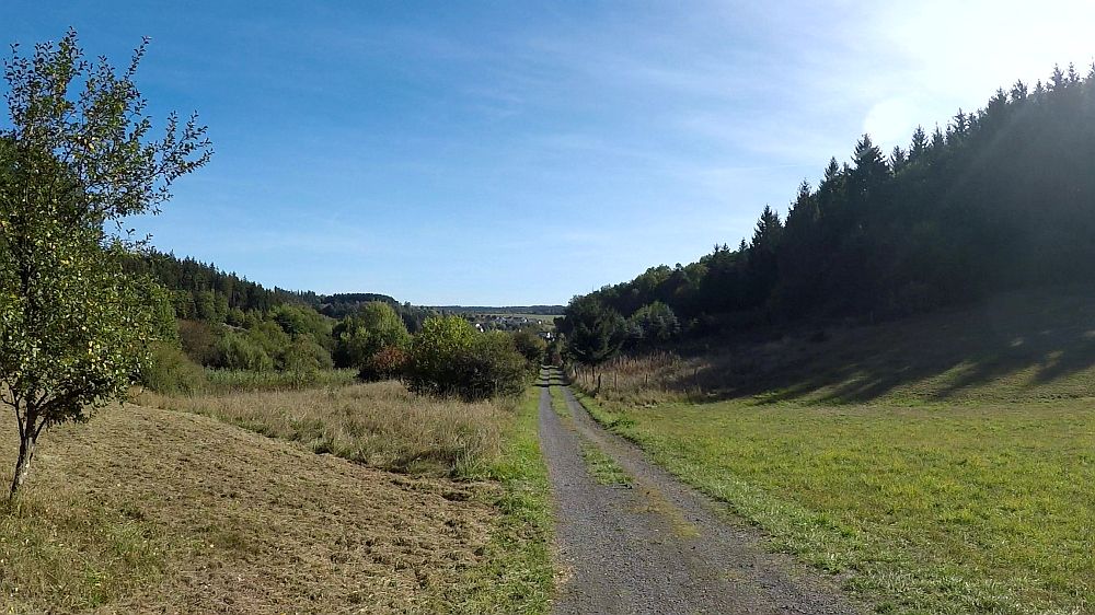 Lieserpfad