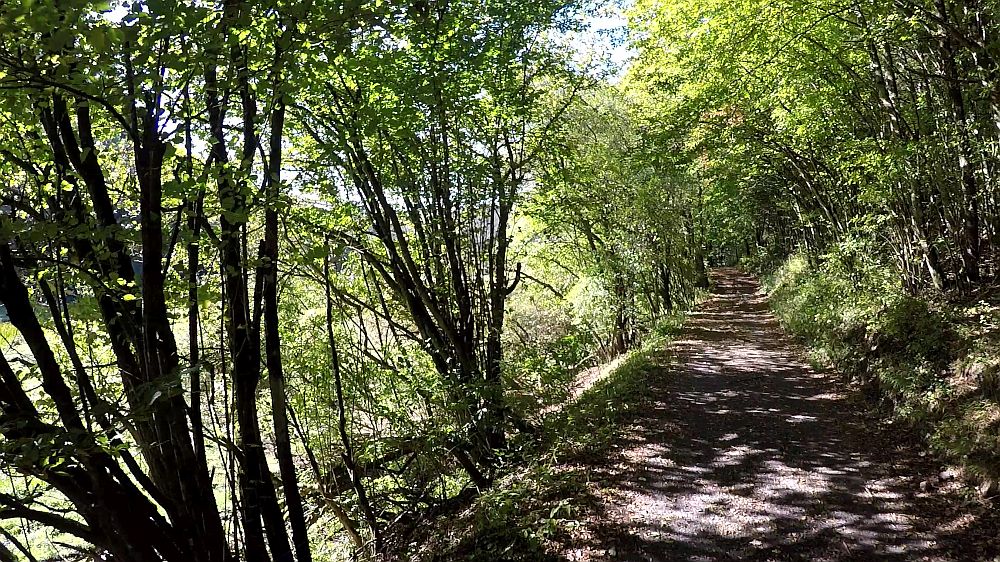 Lieserpfad
