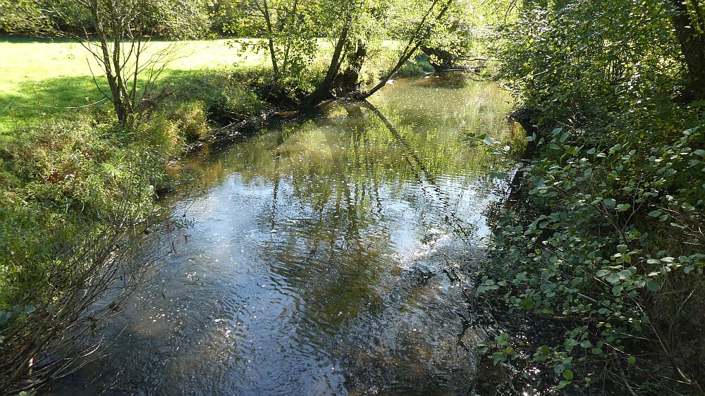Lieserpfad