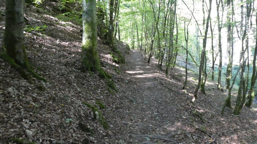 Lieserpfad