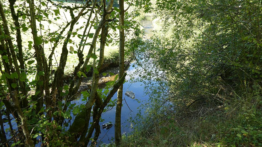 Lieserpfad