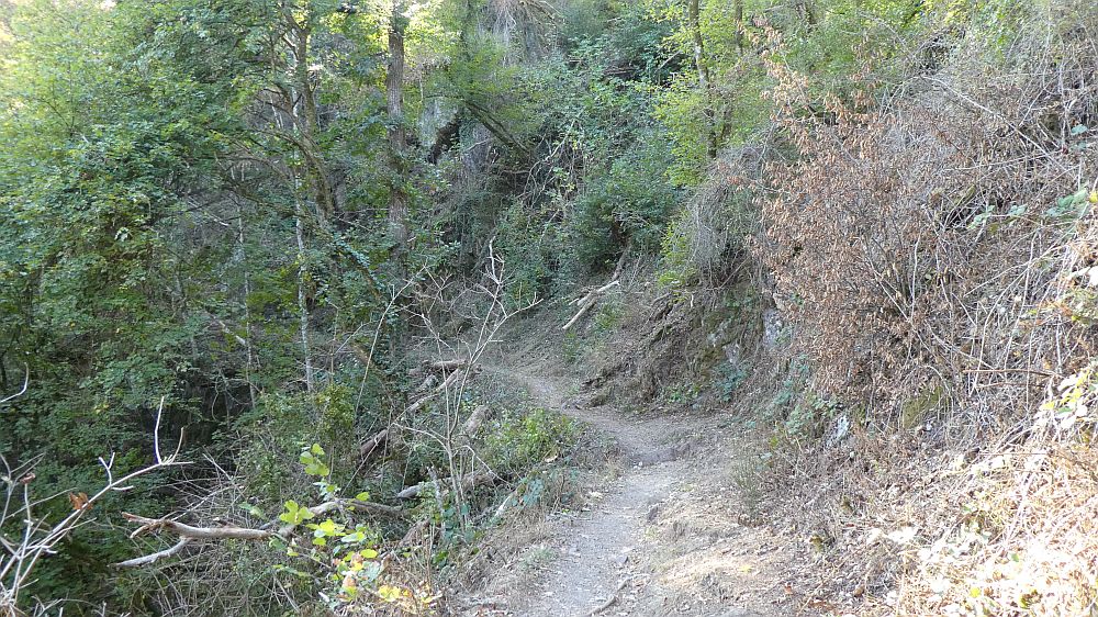 Lieserpfad