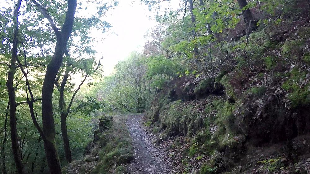 Lieserpfad