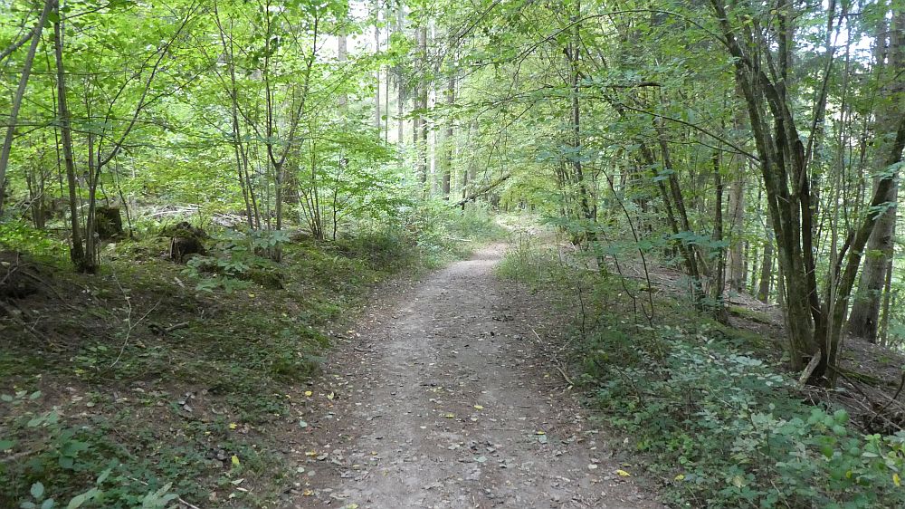 Lieserpfad