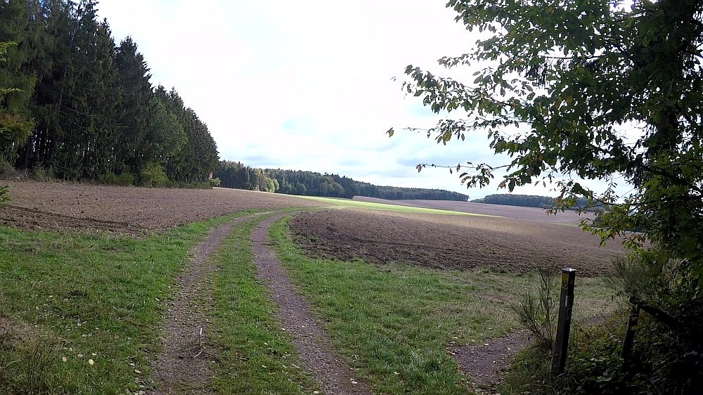 Lieserpfad