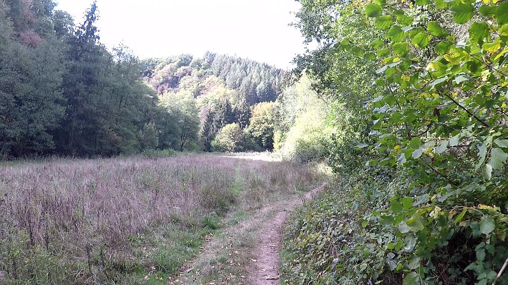 Lieserpfad