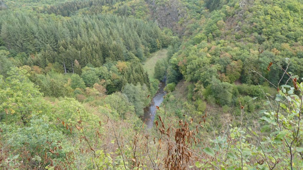 Lieserpfad