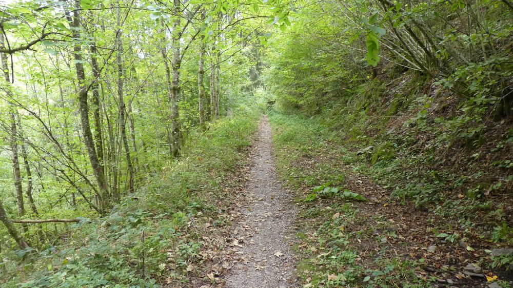 Lieserpfad