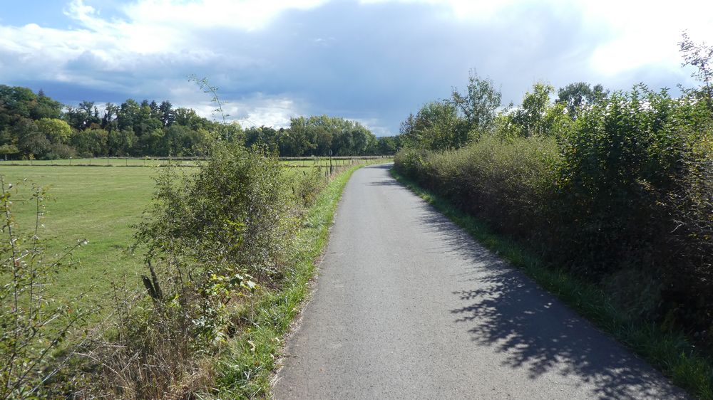 Lieserpfad
