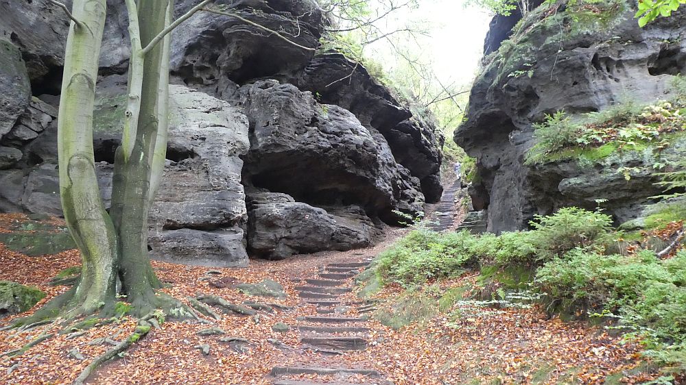 Sächsische Schweiz