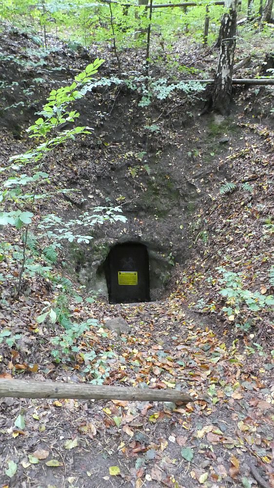 Sächsische Schweiz