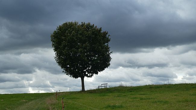 Sächsburgische Schweiz