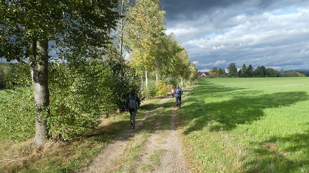Sächsische Schweiz