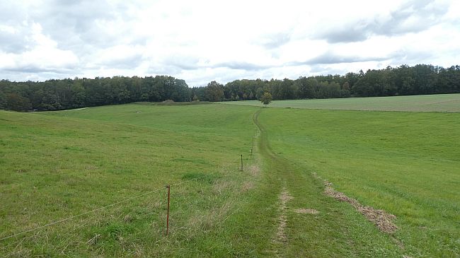 Sächsische Schweiz