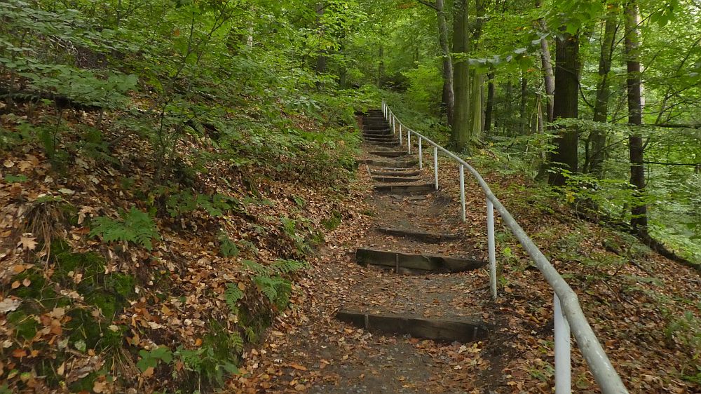 Sächsische Schweiz