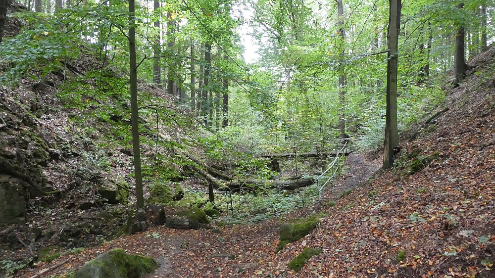 Sächsische Schweiz