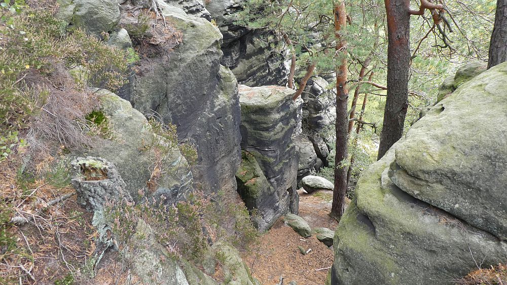 Sächsische Schweiz