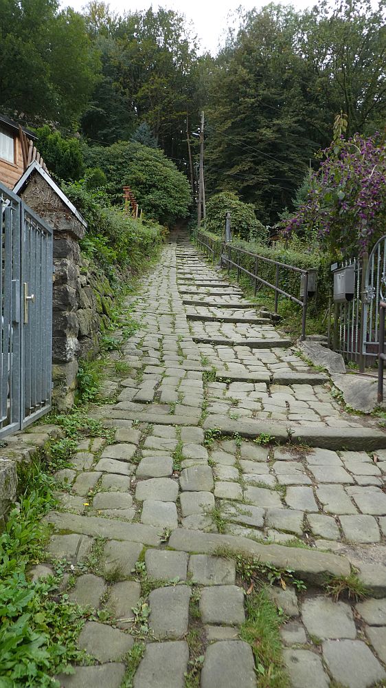 Sächsische Schweiz