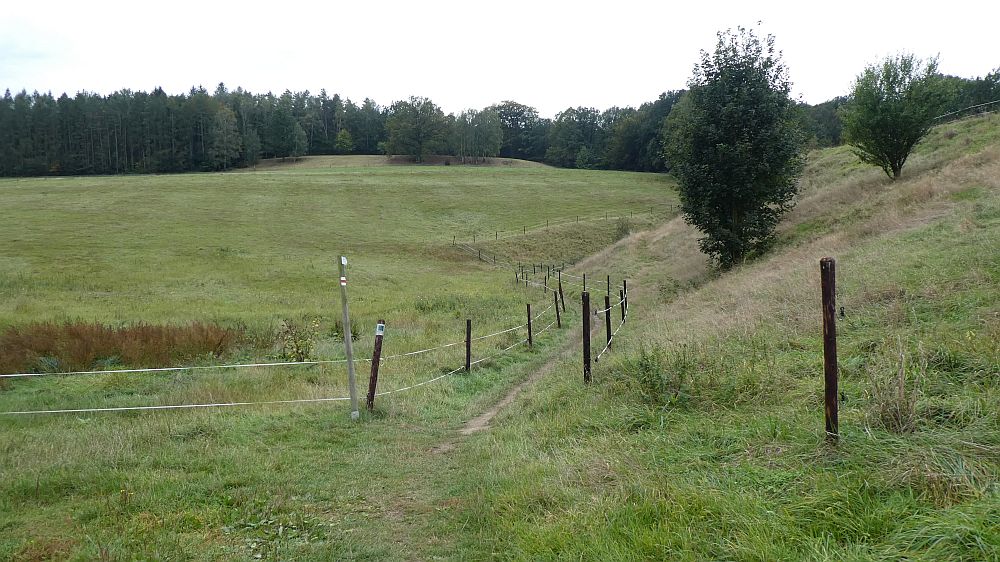 Sächsische Schweiz