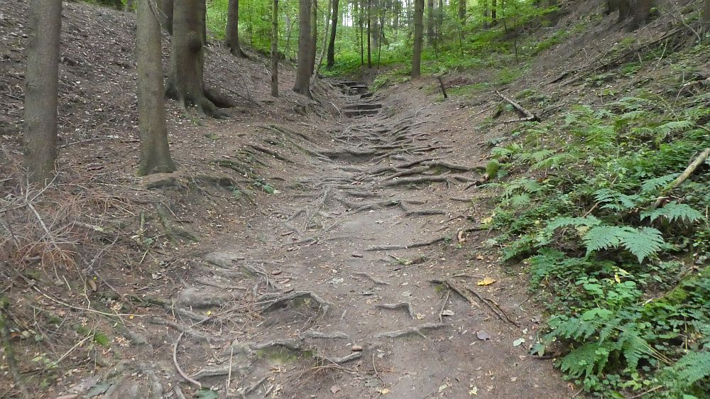 Sächsische Schweiz