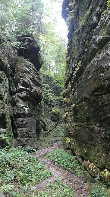 Sächsische Schweiz
