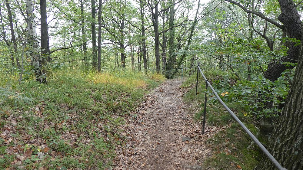 Sächsische Schweiz
